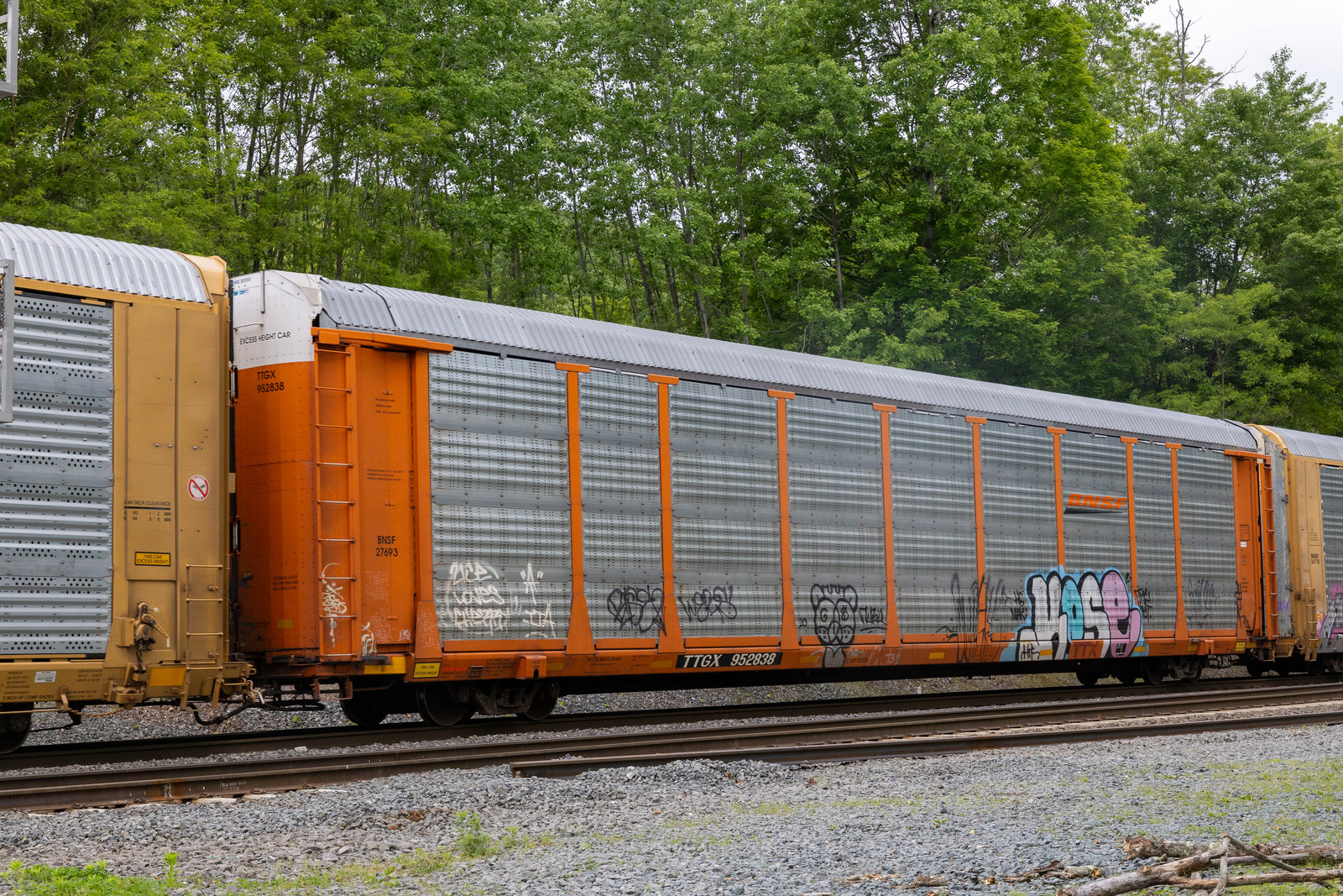 TTGX 952838