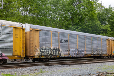 TTGX 977202