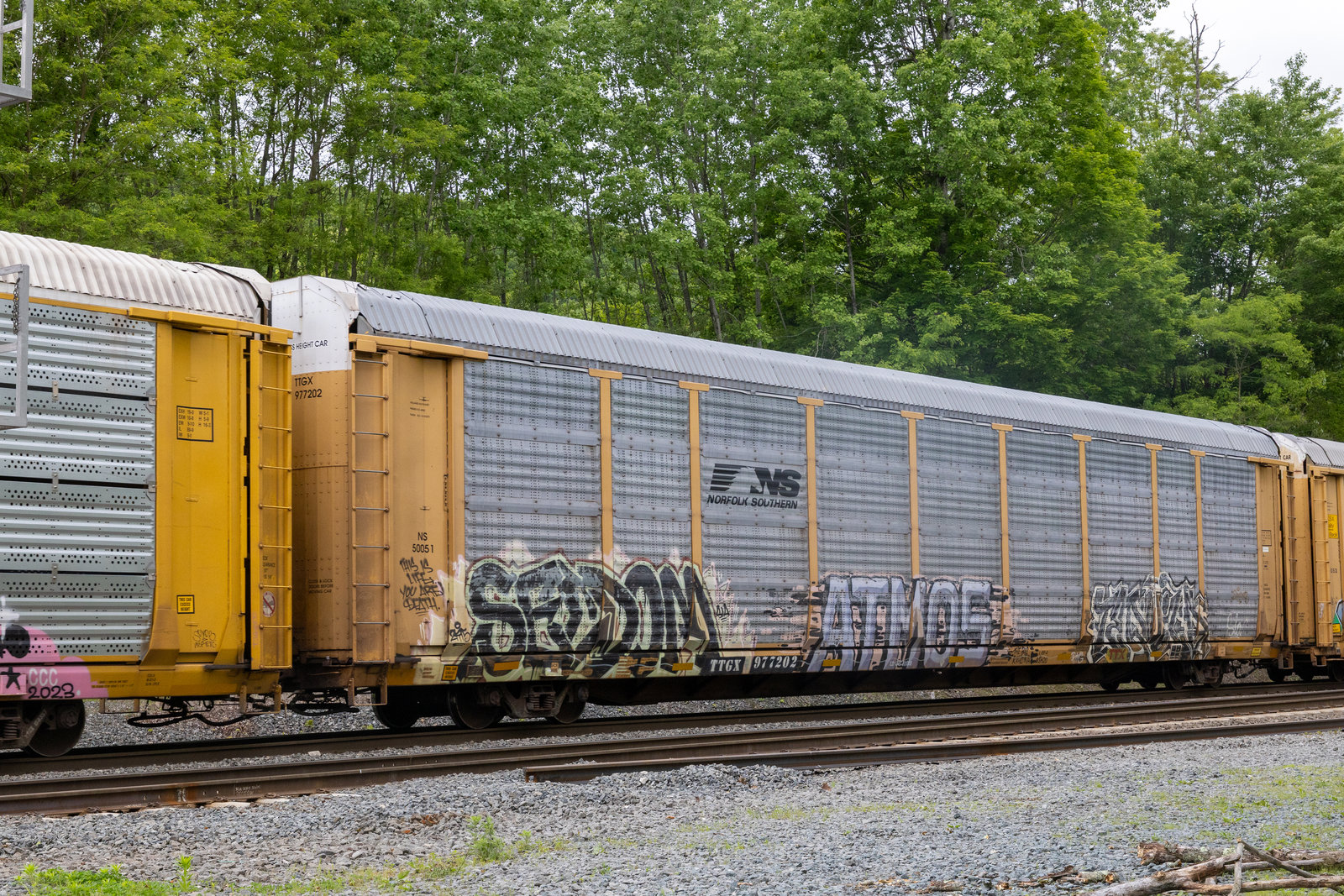 TTGX 977202