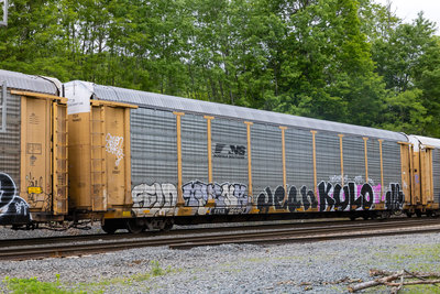 TTGX 964463