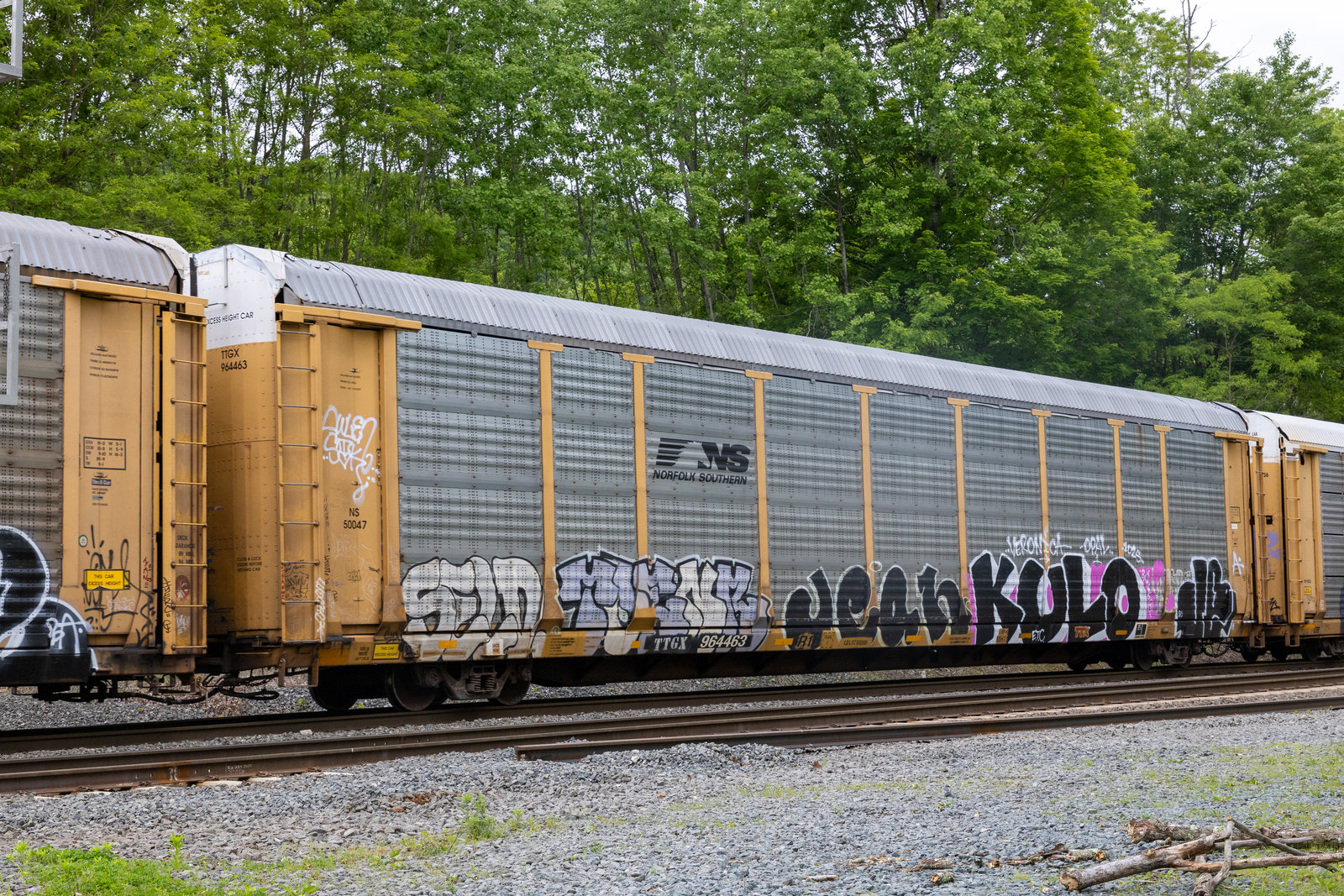 TTGX 964463