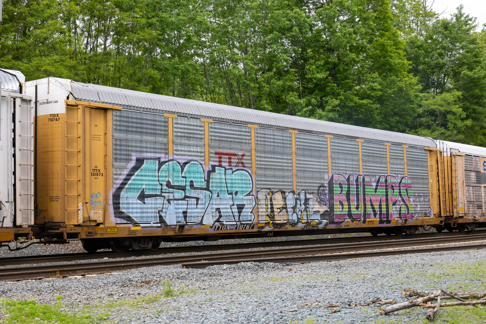 TTGX 710767
