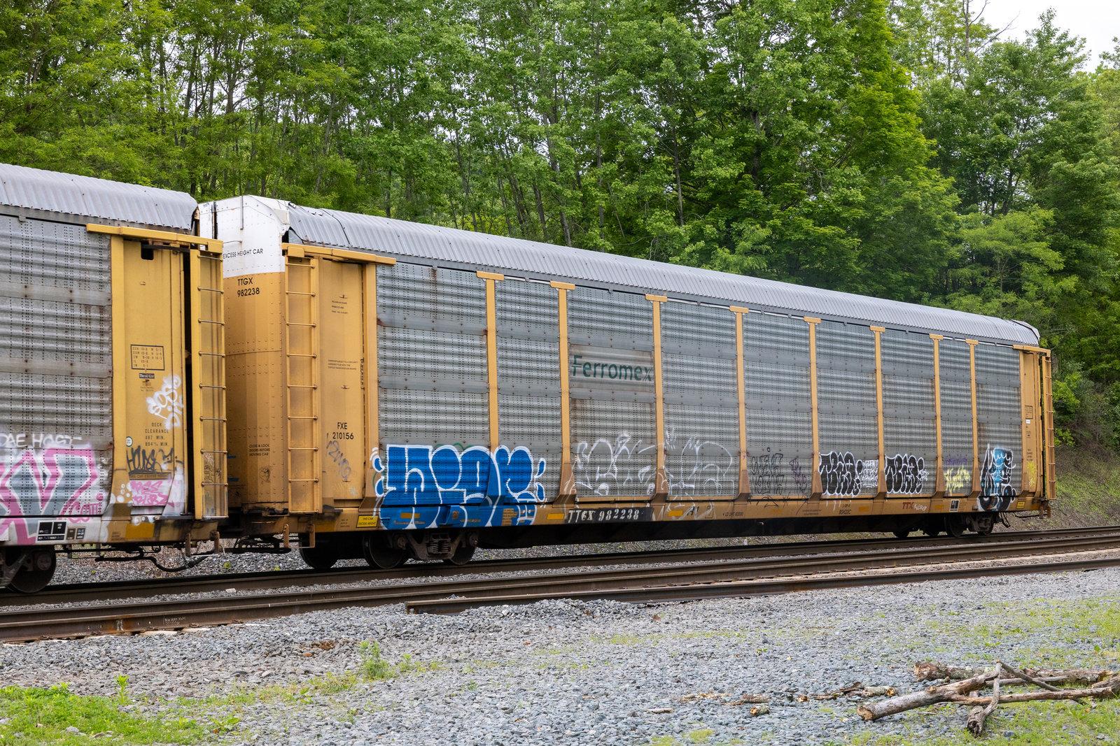 TTGX 982238