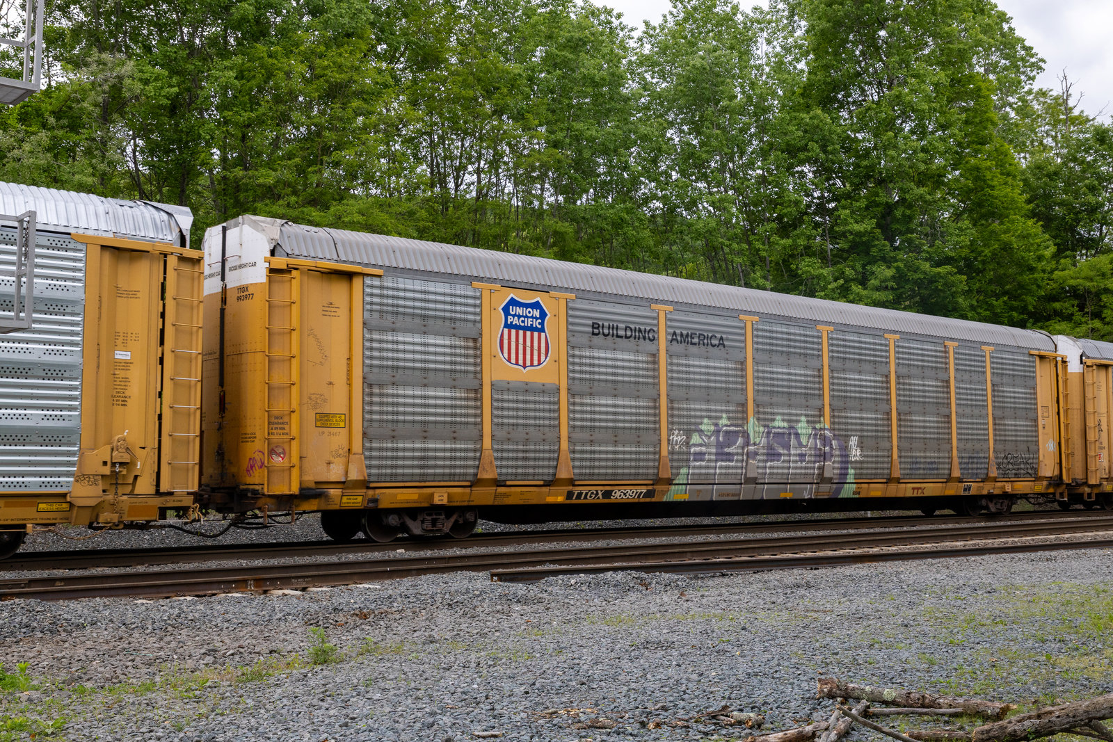 TTGX 963977