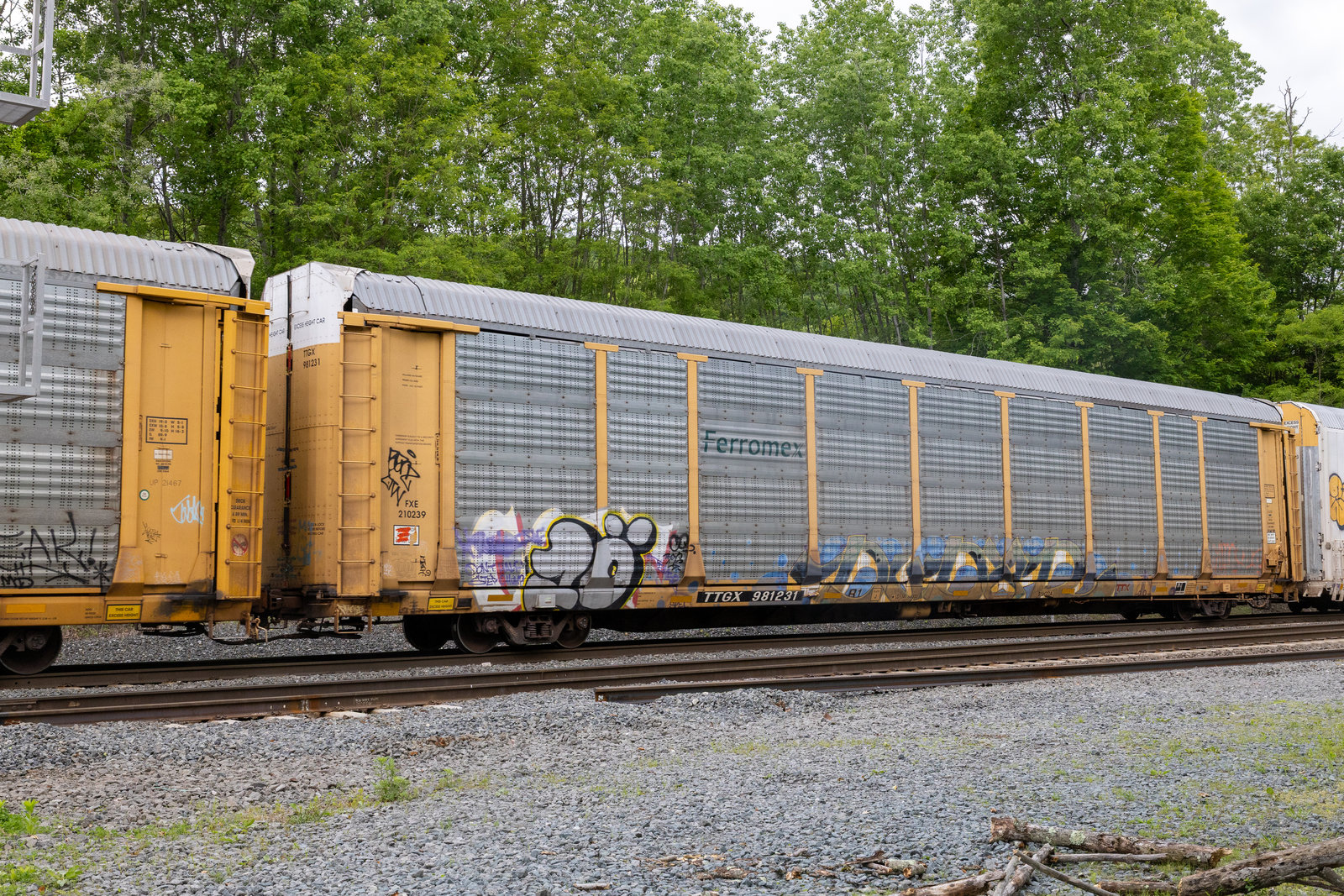TTGX 981231