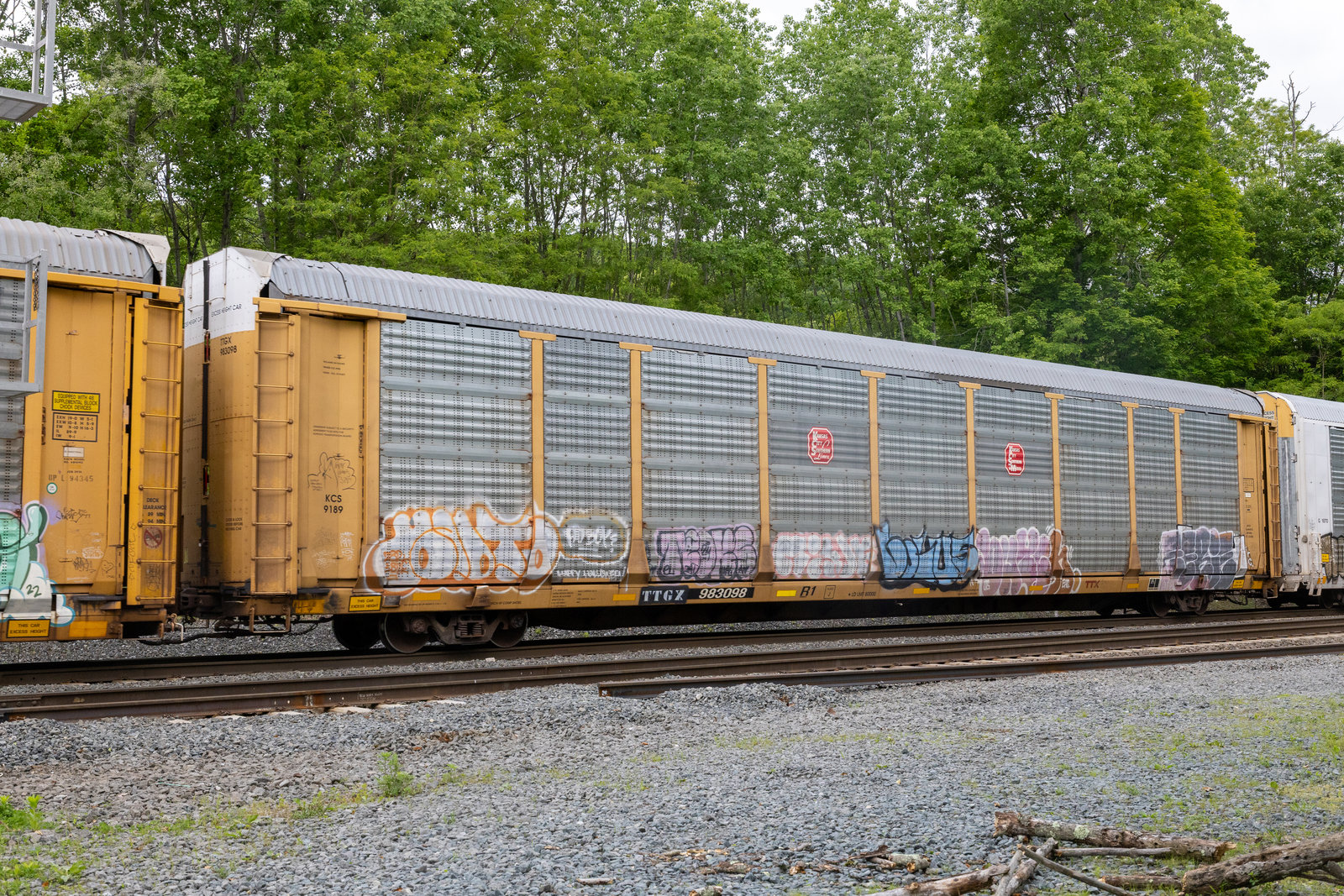 TTGX 983098
