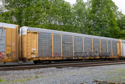 TTGX 977262