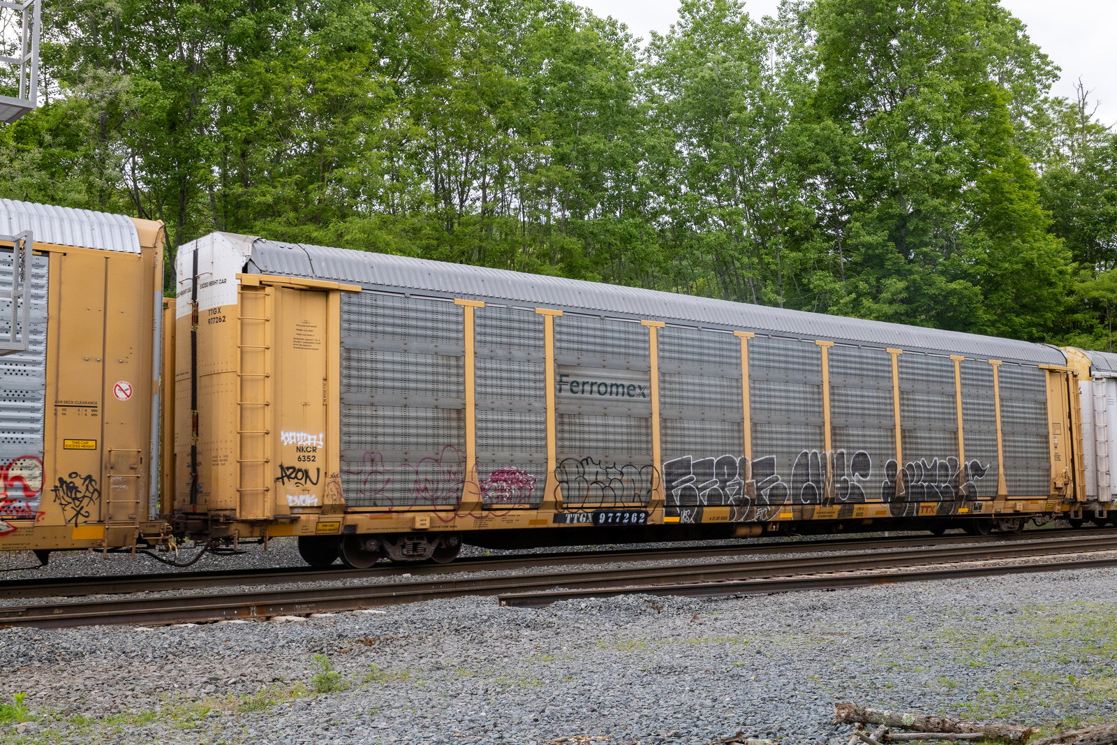 TTGX 977262