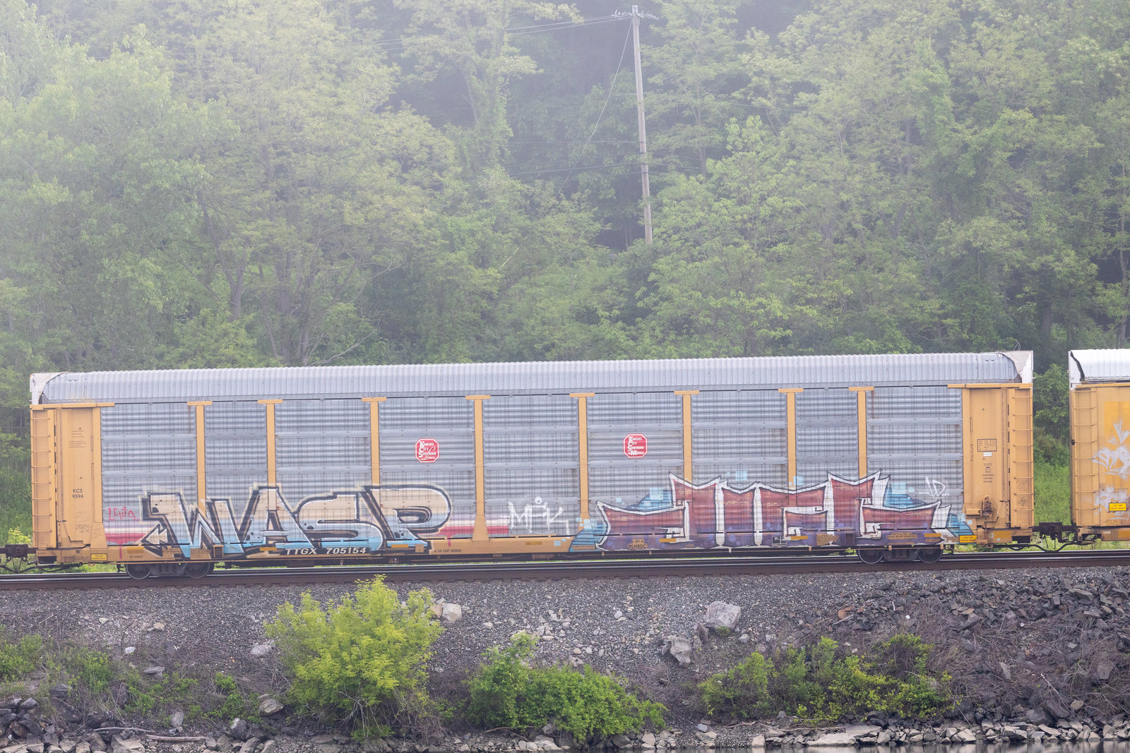 TTGX 705154