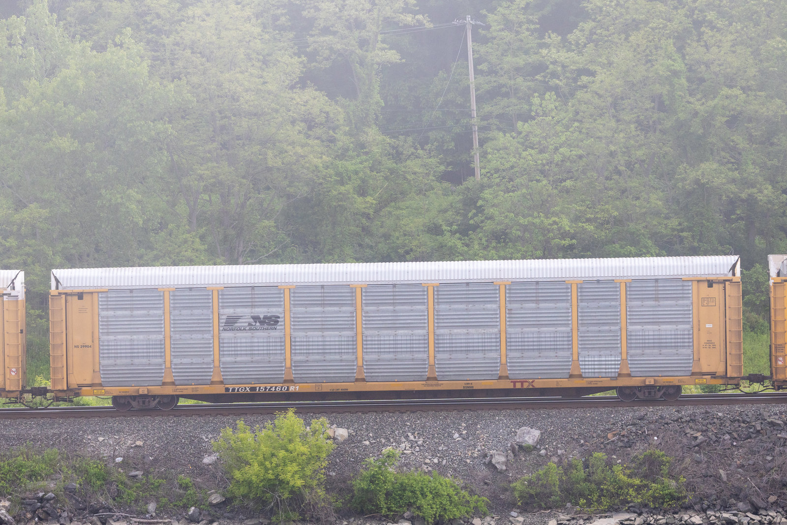 TTGX 157460
