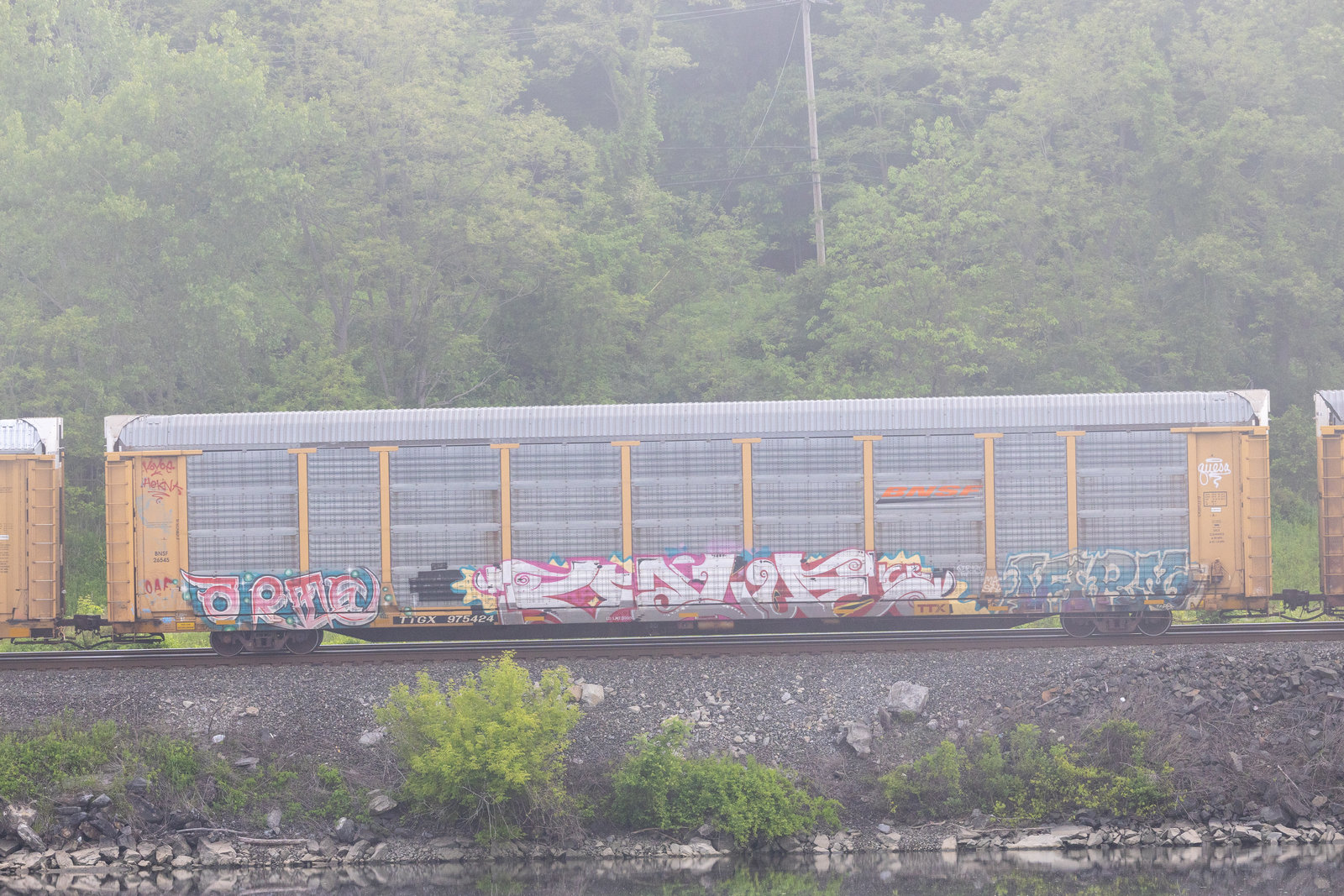 TTGX 975424