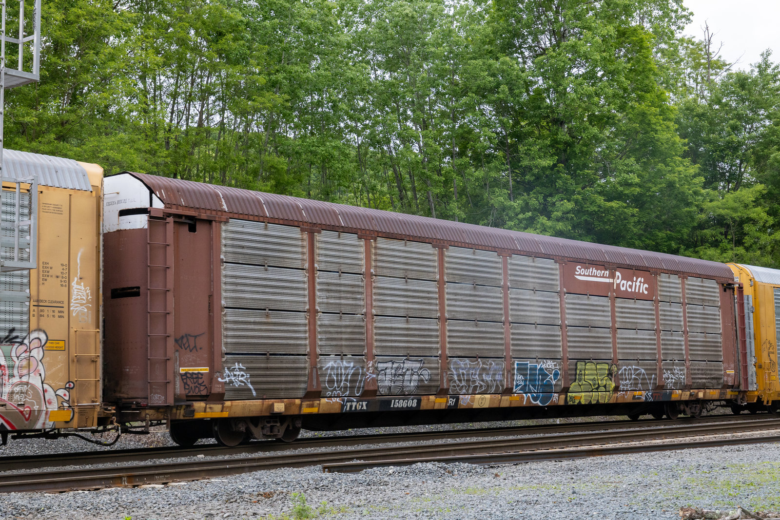TTGX 158608