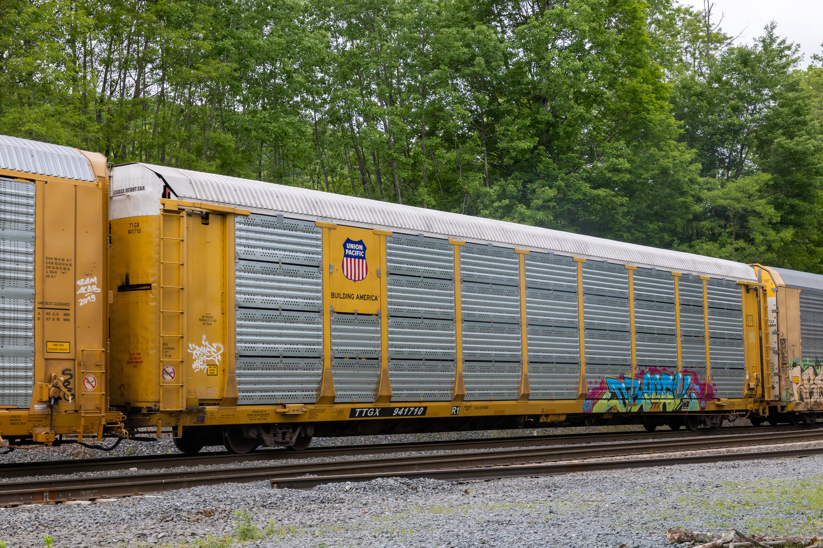 TTGX 941710