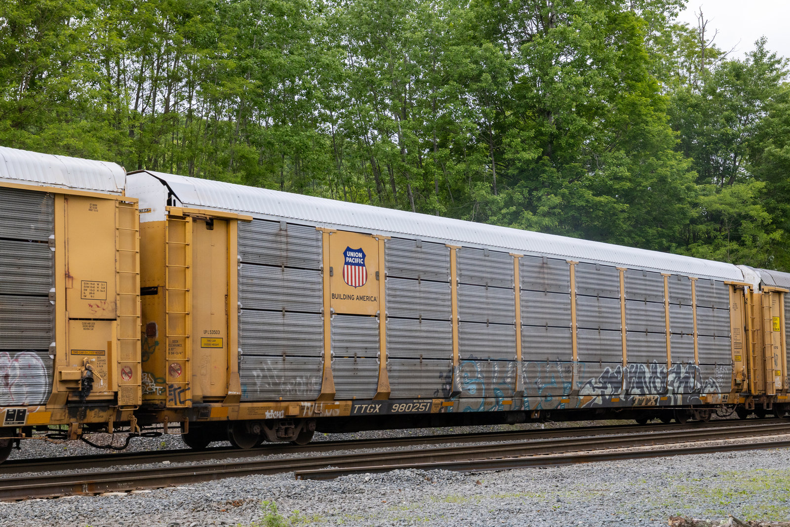 TTGX 980251