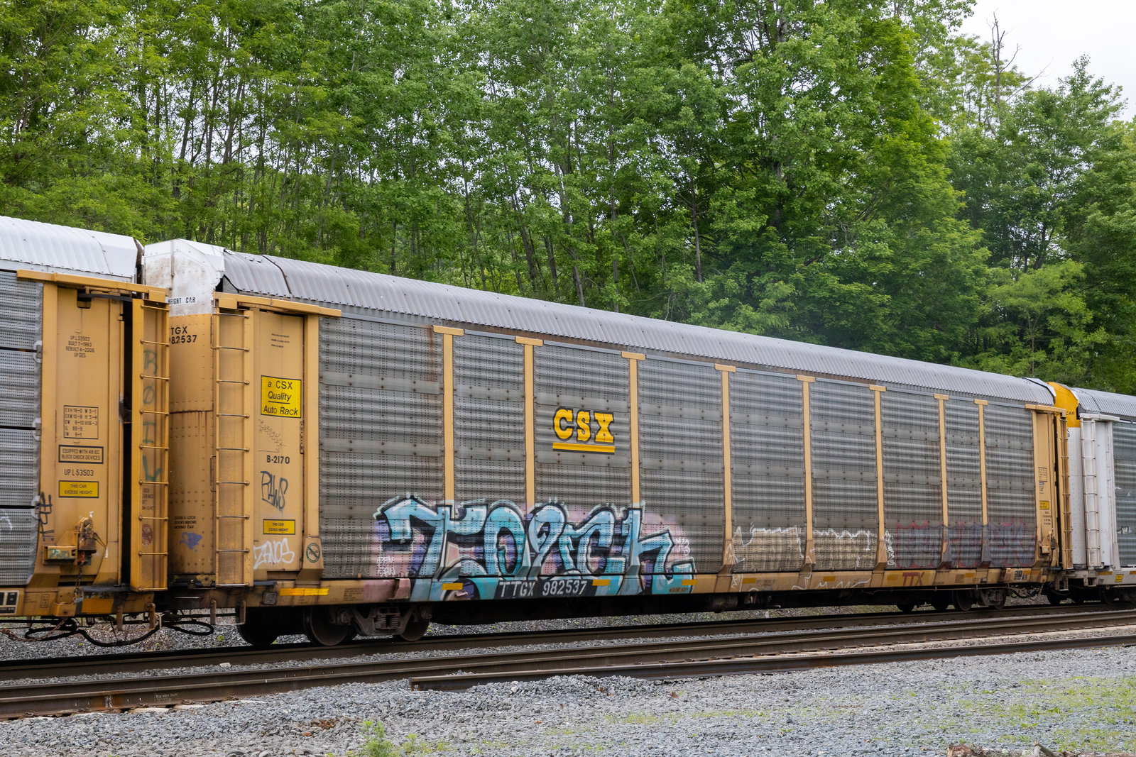 TTGX 982537