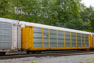 TTGX 995582