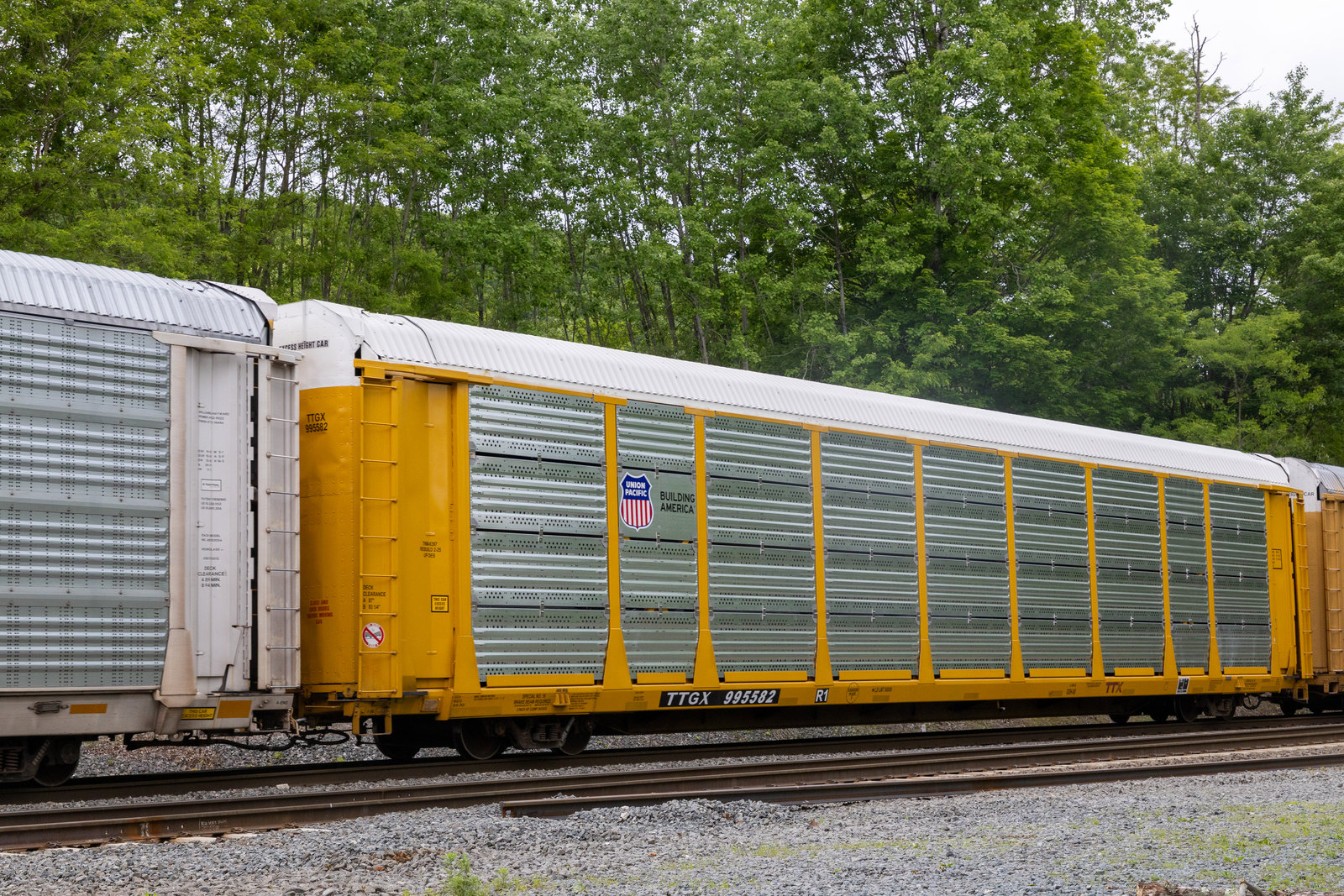 TTGX 995582