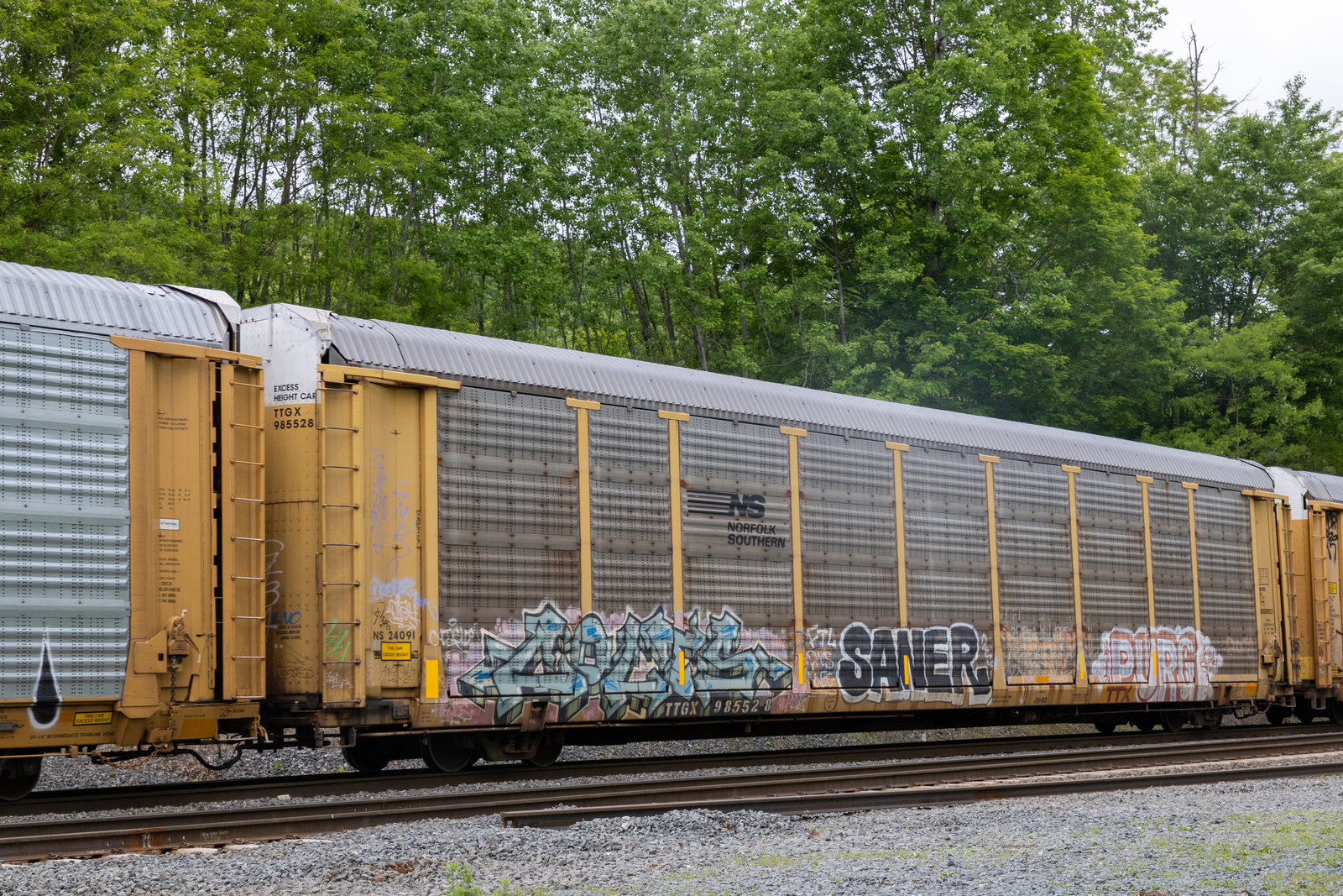 TTGX 985528