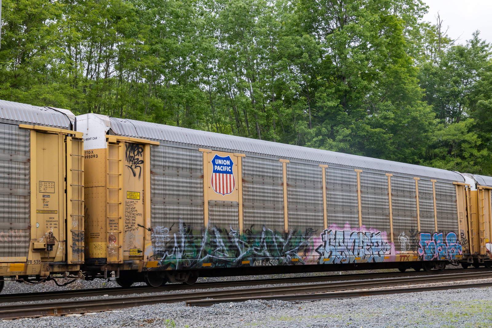 TTGX 995093