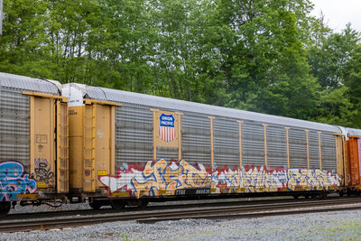 TTGX 986638