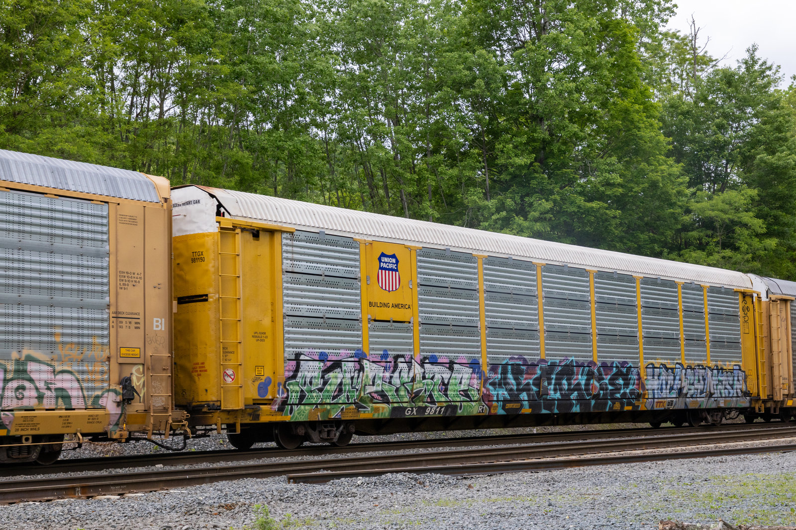 TTGX 981150