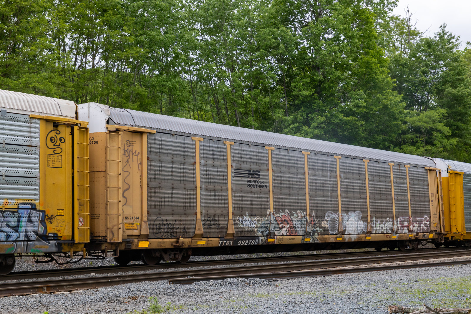 TTGX 992708