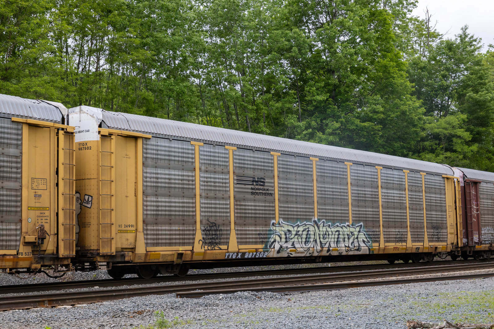 TTGX 987502