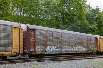 TTGX 992338
