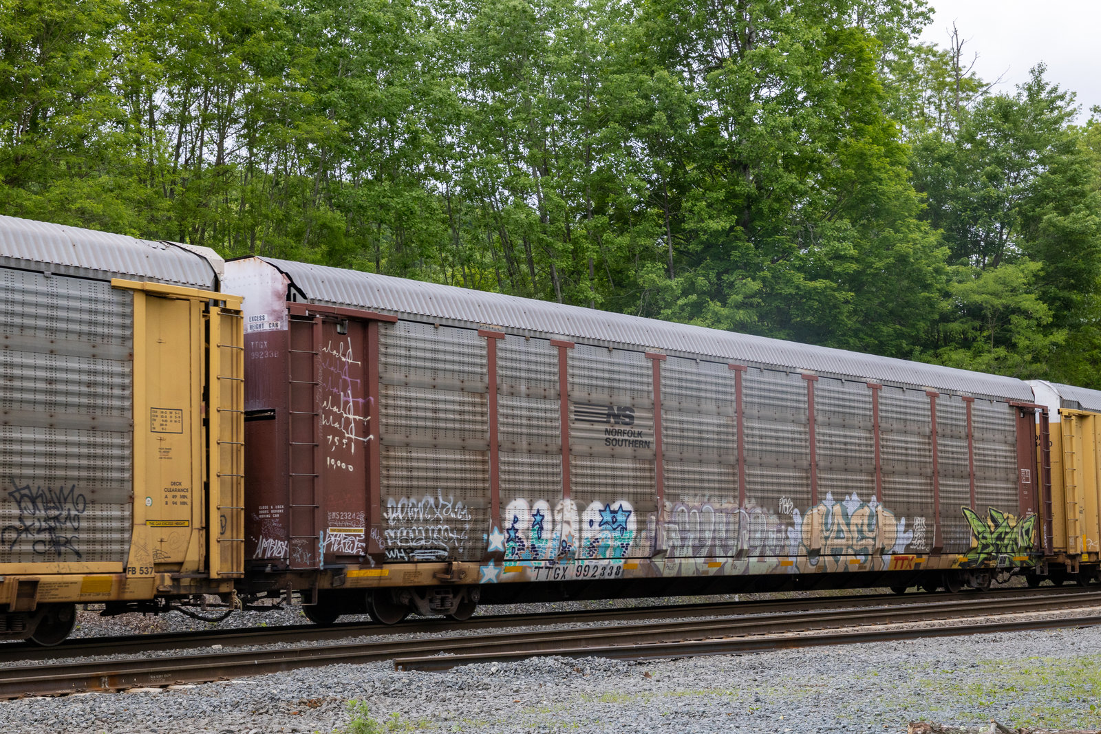 TTGX 992338