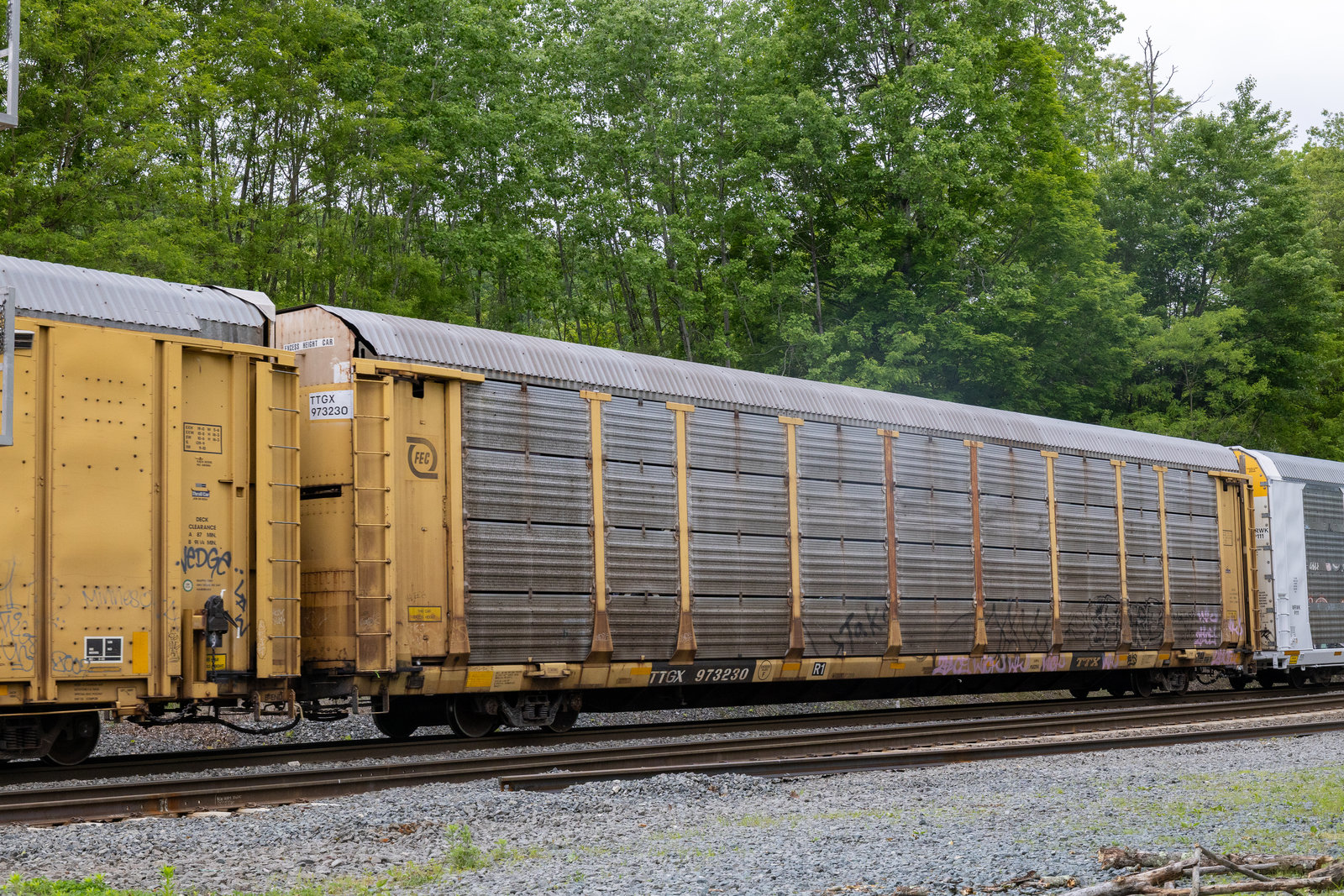 TTGX 973230