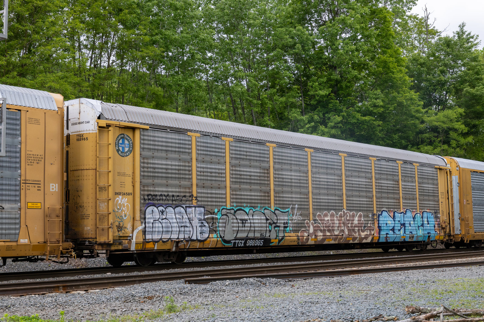 TTGX 988965