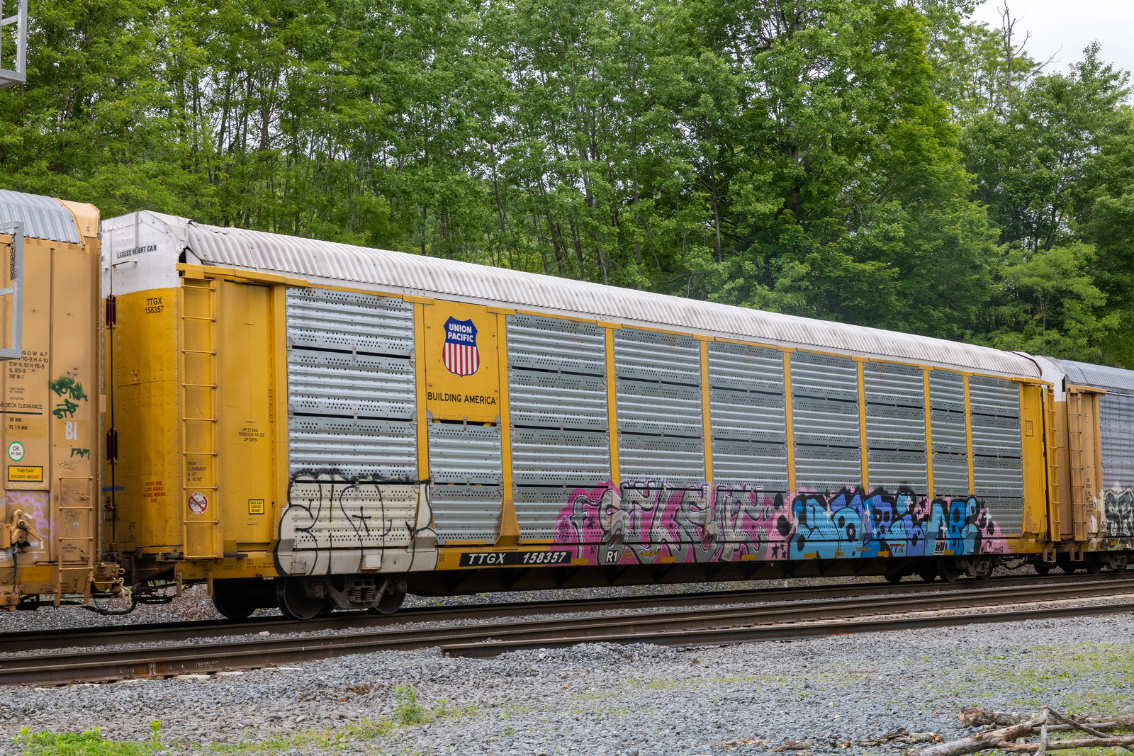 TTGX 158357