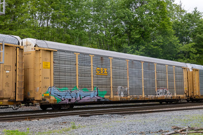 TTGX 988149