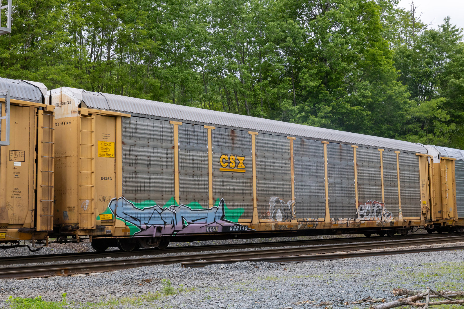 TTGX 988149
