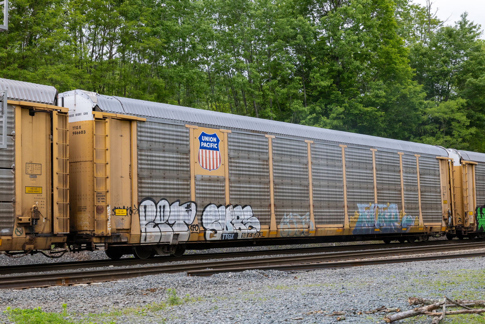 TTGX 986603