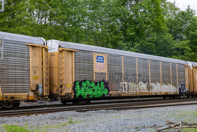 TTGX 985751