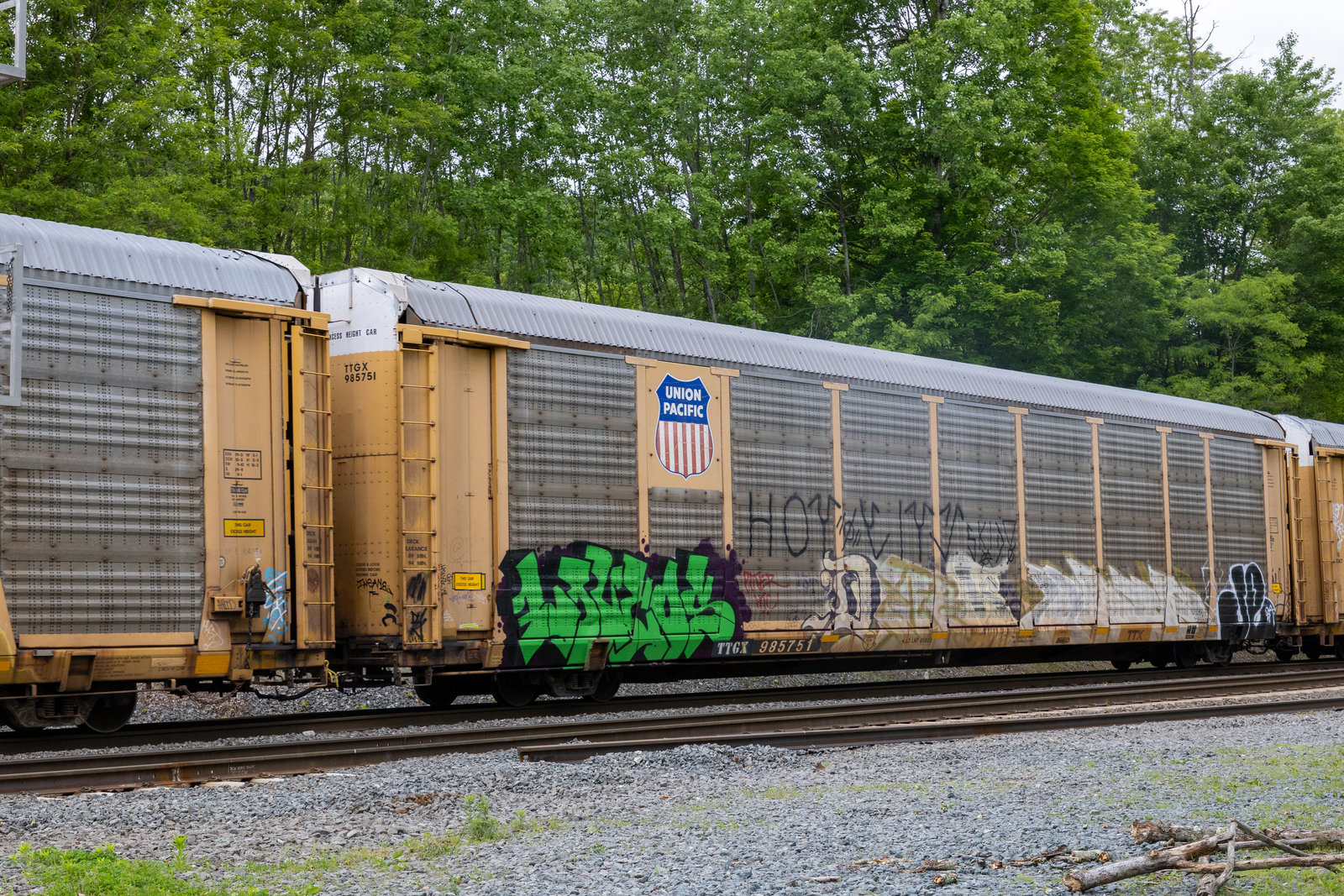 TTGX 985751