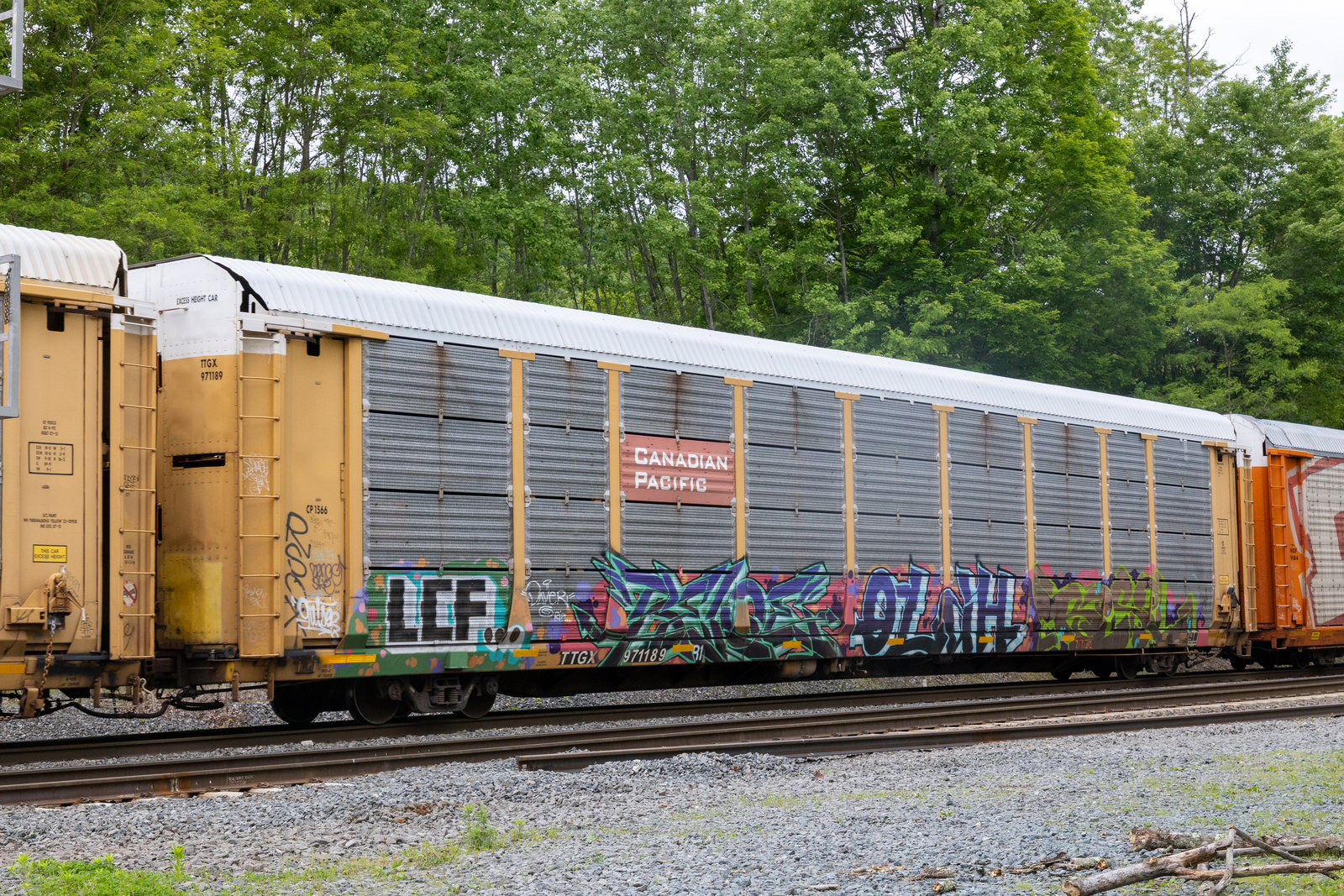 TTGX 971189