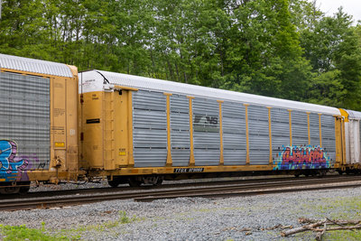 TTGX 979060
