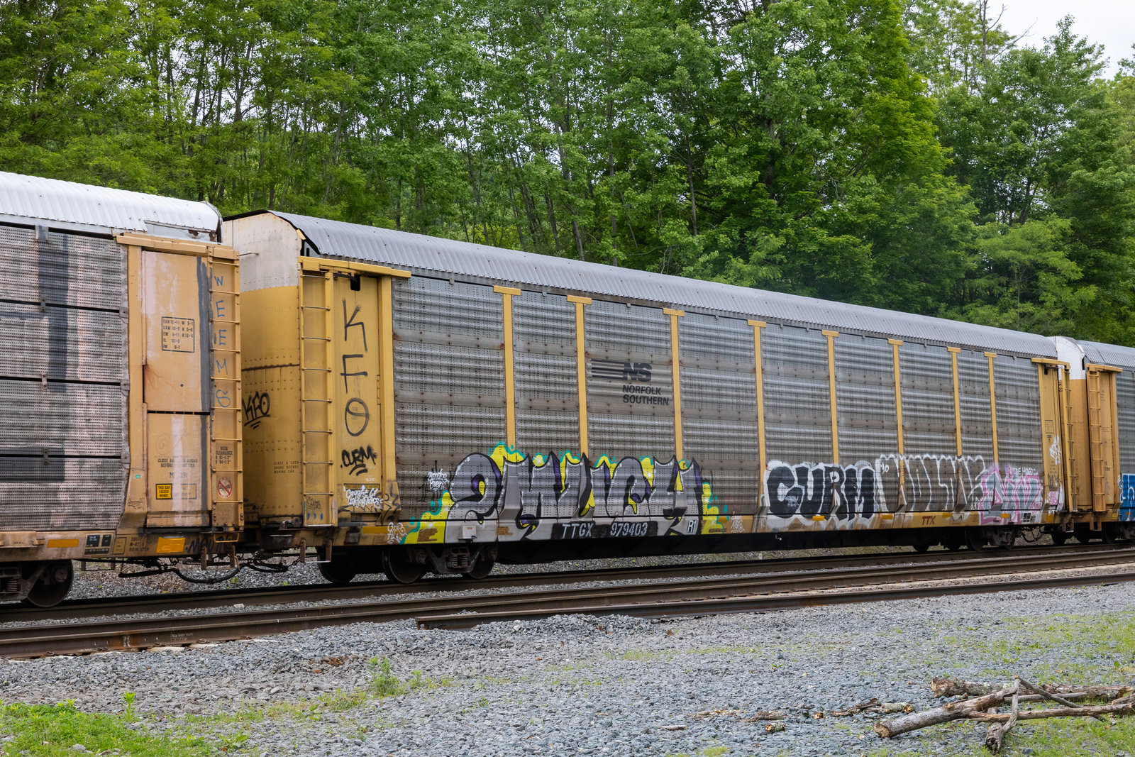 TTGX 979403