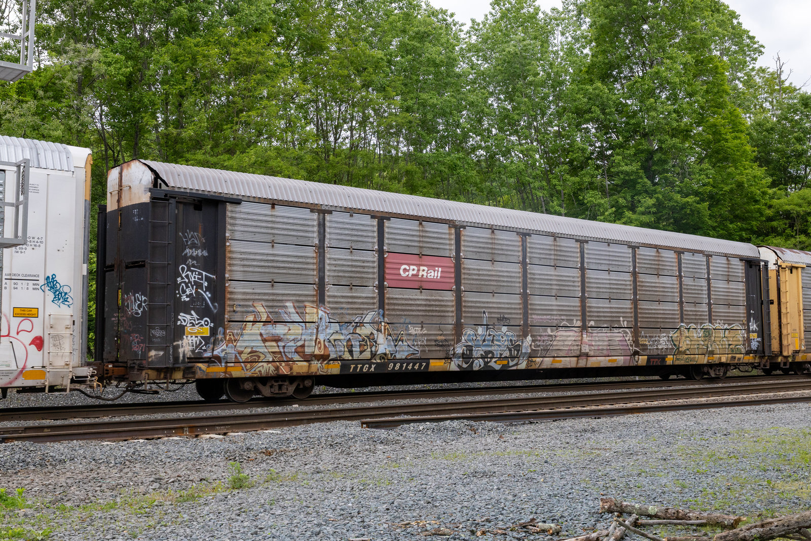 TTGX 981447