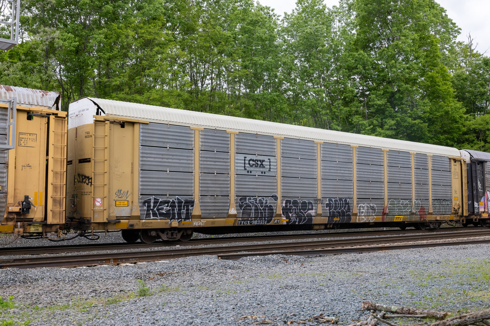 TTGX 983574