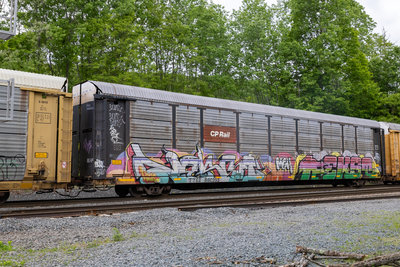 TTGX 980355