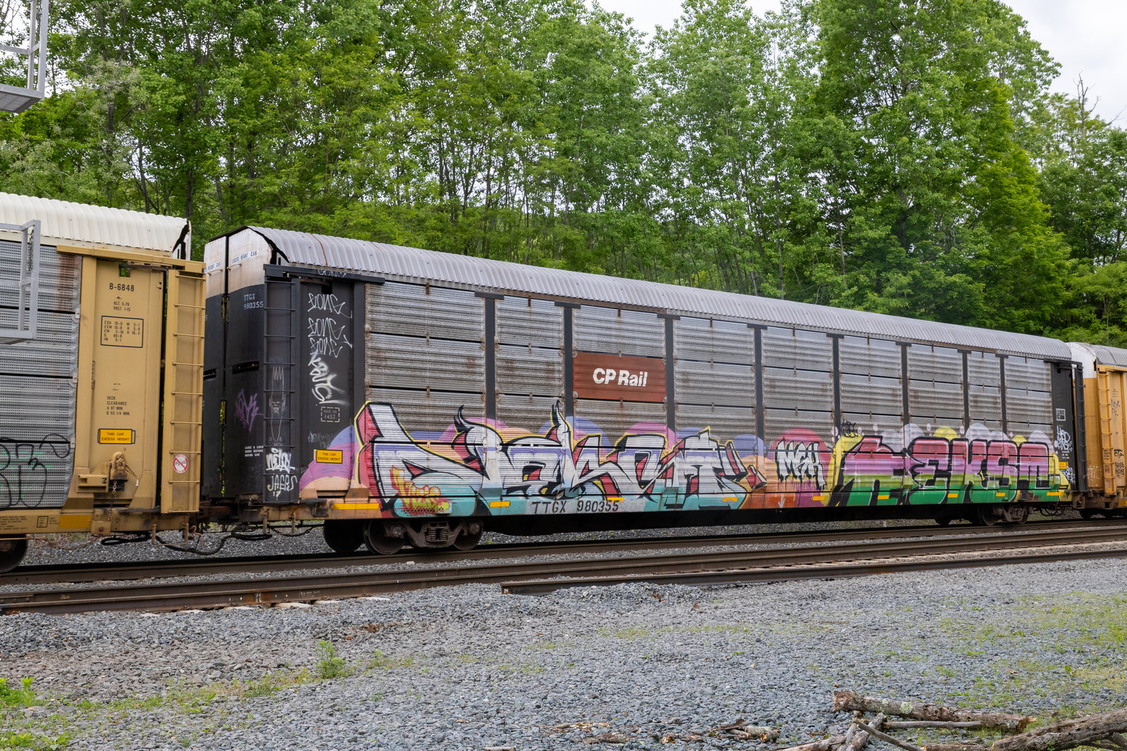 TTGX 980355