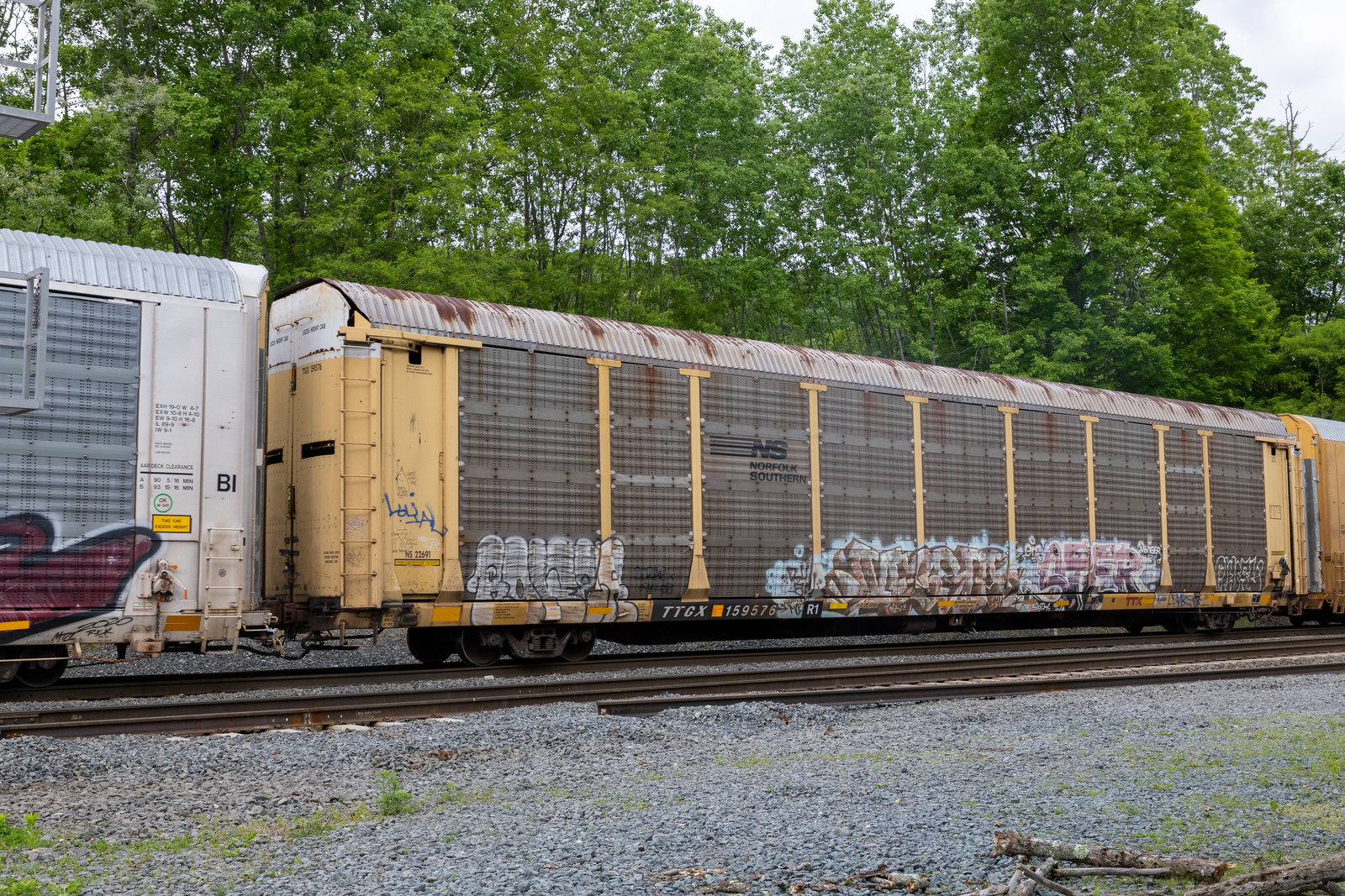 TTGX 159576