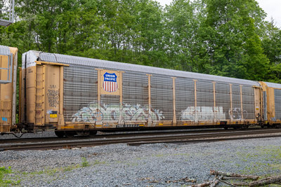 TTGX 986622