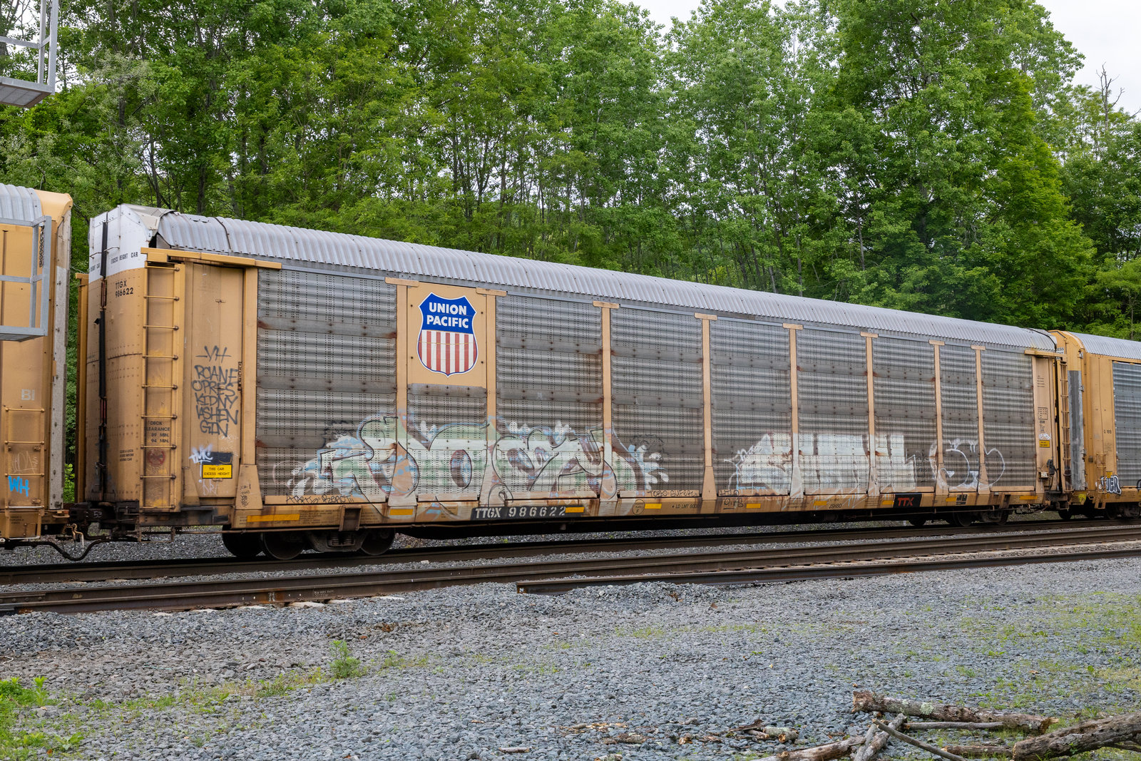 TTGX 986622