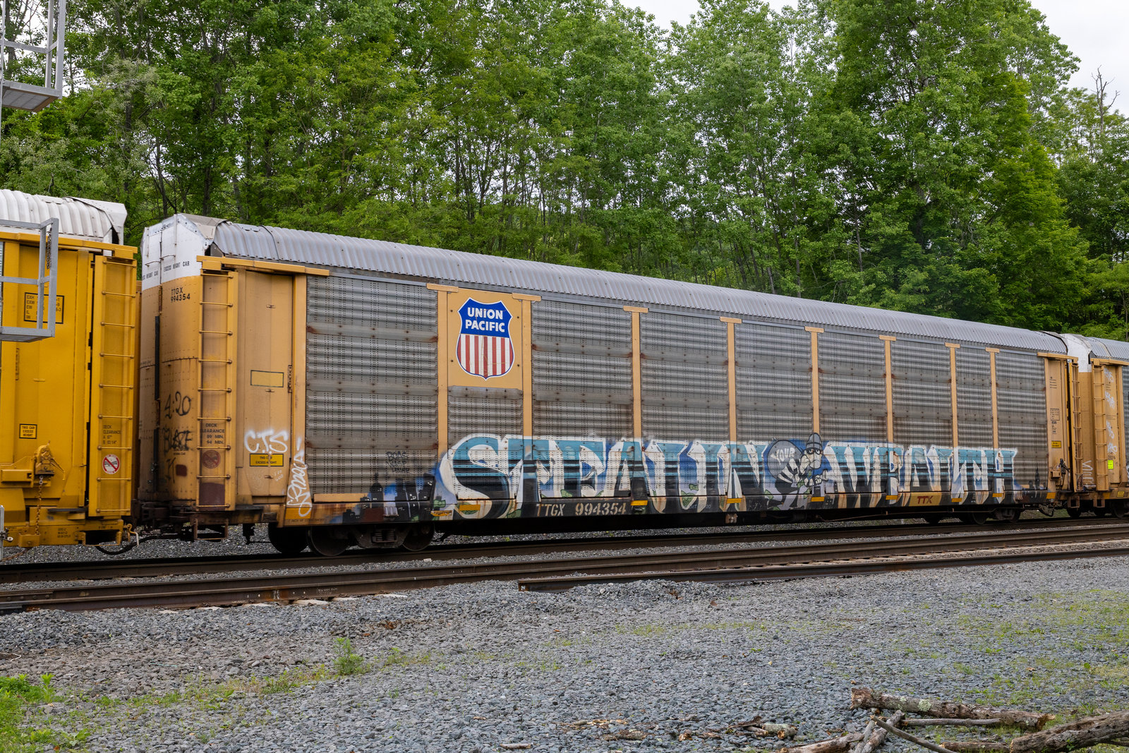 TTGX 994354