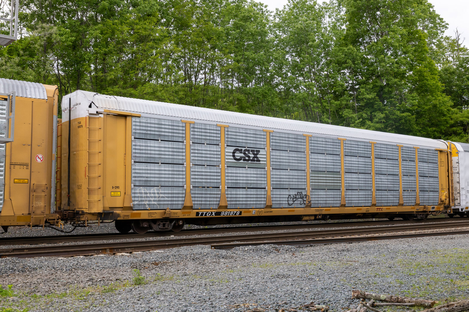 TTGX 981878