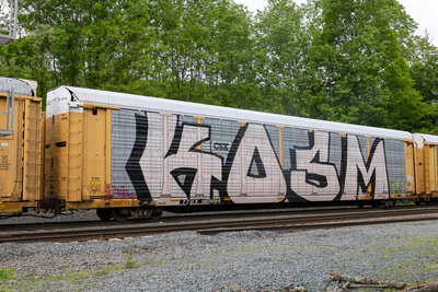 TTGX 963064